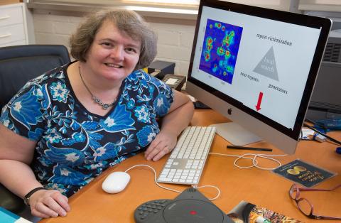 Professor Andrea Bertozzi