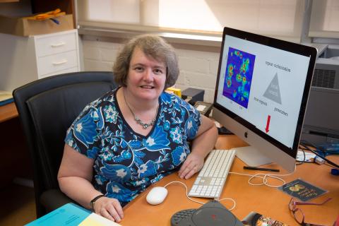 Professor Andrea Bertozzi
