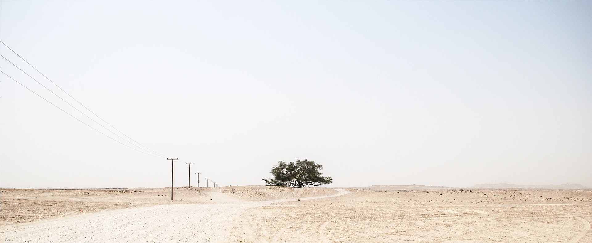 a barren desert landscape
